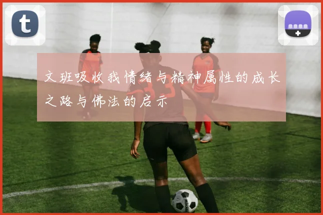 文班吸收我情绪与精神属性的成长之路与佛法的启示
