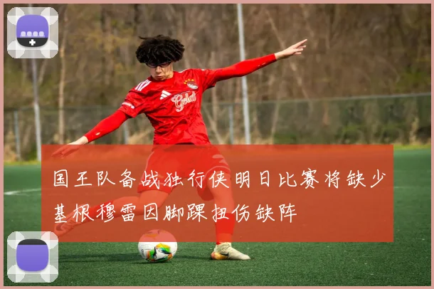 国王队备战独行侠明日比赛将缺少基根穆雷因脚踝扭伤缺阵