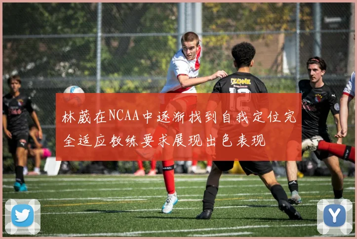 林葳在NCAA中逐渐找到自我定位完全适应教练要求展现出色表现
